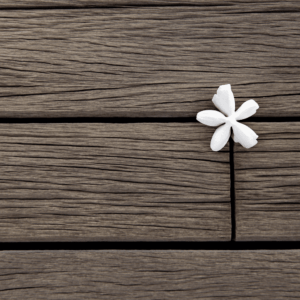 Mastering the Rule of Thirds in Photography