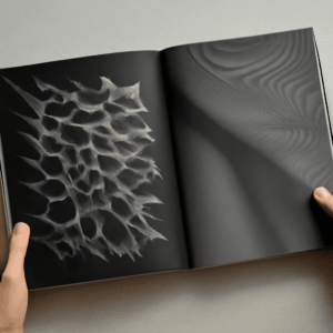 Tracing Art: A Clear Workflow for Accurate Outlines